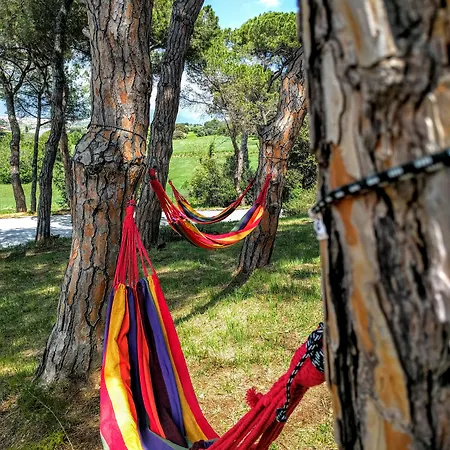 Augusta Barcelona Valles ホテル